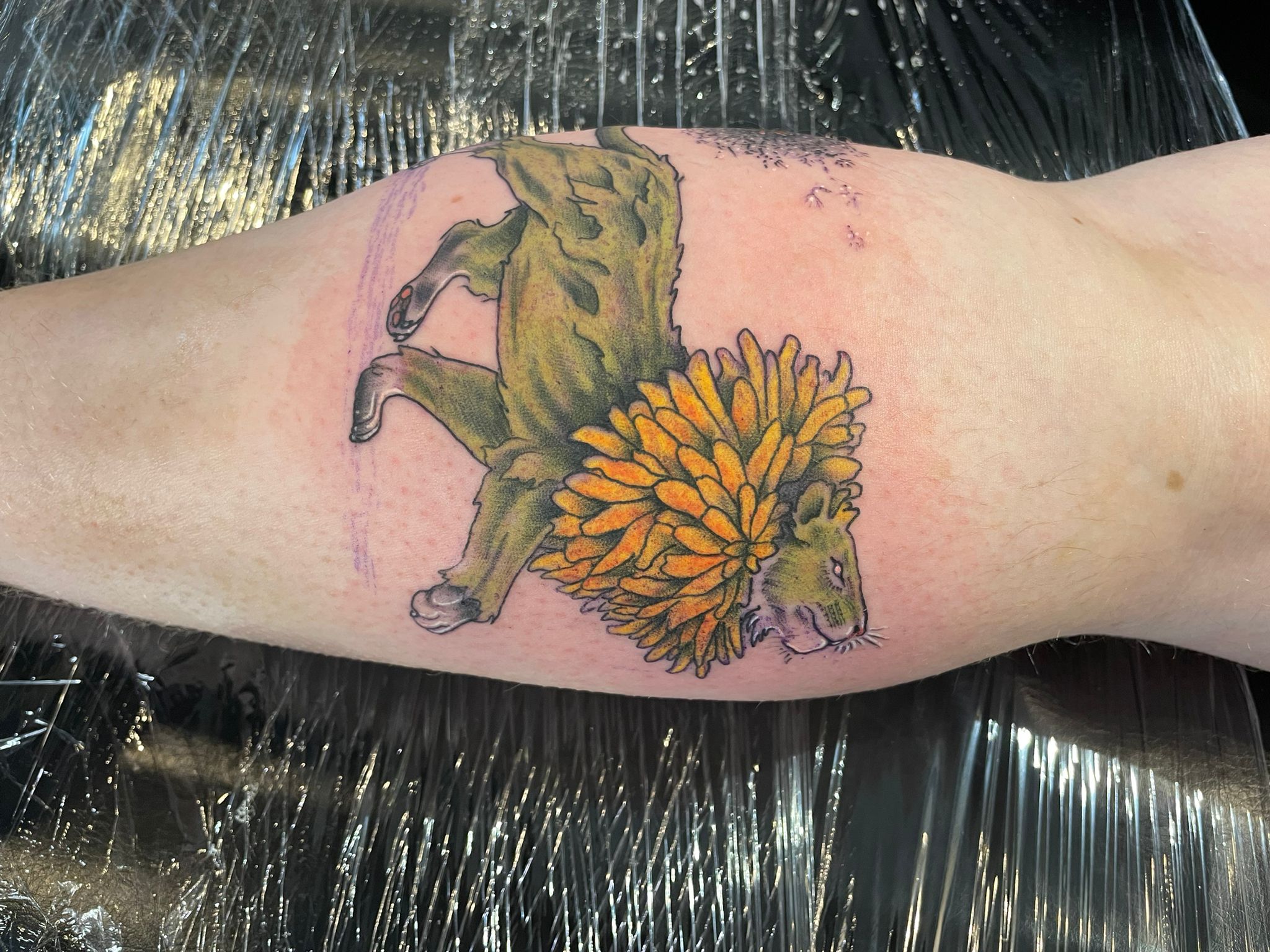 Illustrative capybara detail tattoo by Michael Lisney